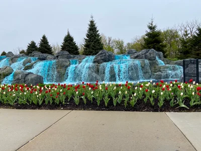 Rosemont - Photo 3