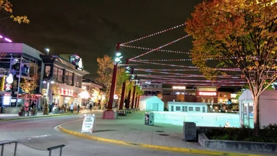 Rosemont - Photo 5