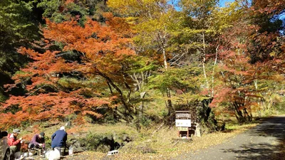Bungoono - Photo 2