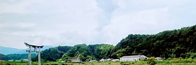Bungoono - Photo 4