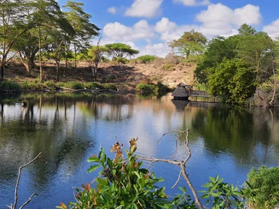 Tsavo National Park West - Photo 4