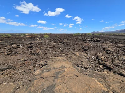 Tsavo National Park West - Photo 5