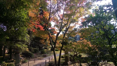 Iizuka - Photo 3