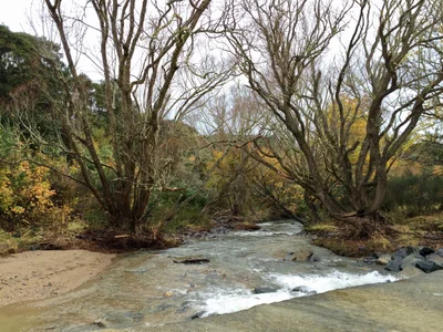 North Taieri - Photo 2