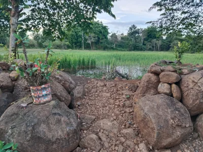 Paksong - Photo 3