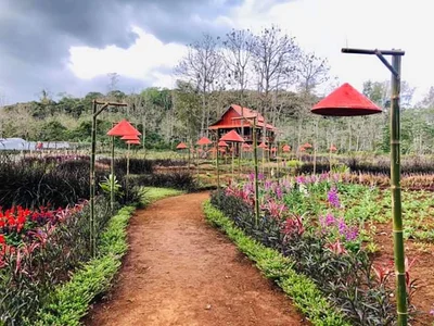 Paksong - Photo 5