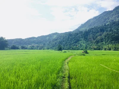 Muang Ngoi Neua - Photo 3