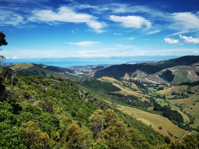 Kahurangi National Park - Photo 3