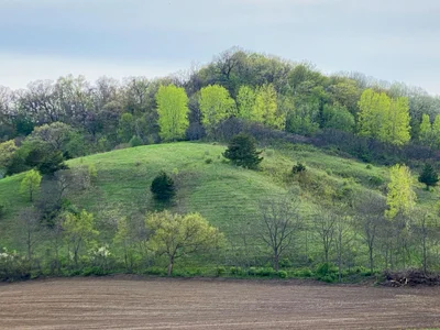 Spring Green - Photo 3