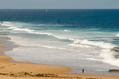 Forresters Beach - Photo 2