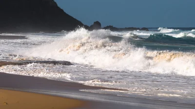 Forresters Beach - Photo 4