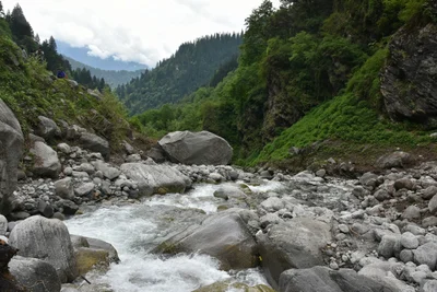 Nagar - Photo 2