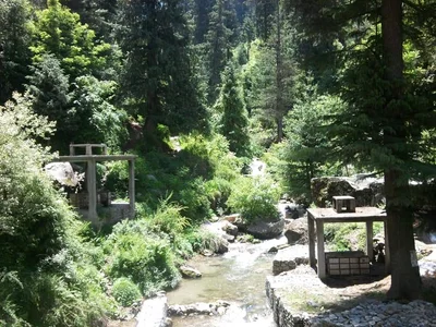 Nagar - Photo 3