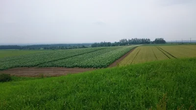 Kamishihoro - Photo 3