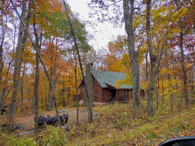 Wintergreen - Photo 2