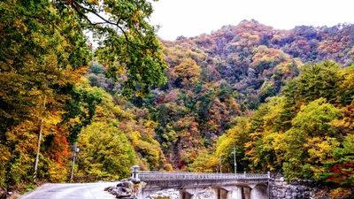 Inje-gun - Photo 3