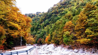 Inje-gun - Photo 4