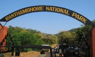 Ranthambore National Park - Photo 4