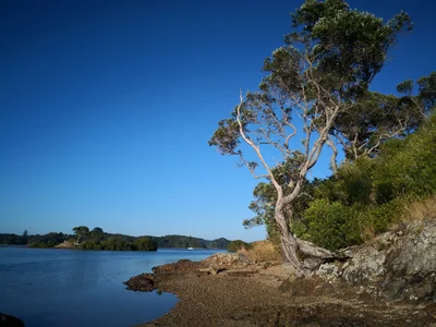 Ngunguru - Photo 4