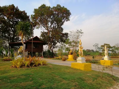 Selaphum - Photo 2