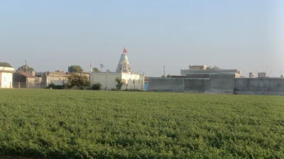 Amreli - Photo 2