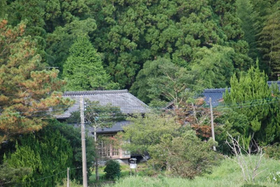 Nichinan - Photo 5