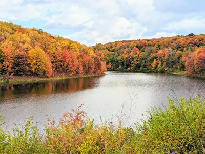 Ellicottville - Photo 2