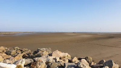 Qidong - Photo 4