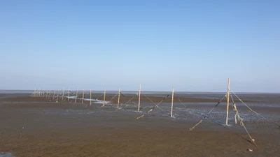 Qidong - Photo 5