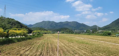 Zhuji City - Photo 5