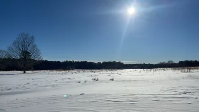 Yaphank - Photo 5