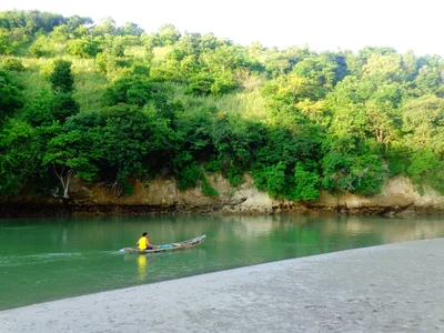 Sua - Photo 5