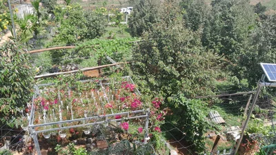 Gia Nghĩa - Photo 3