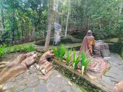 Ligao - Photo 2