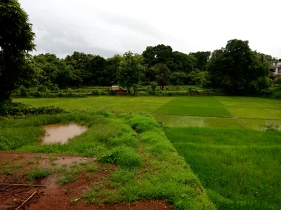 Curtorim - Photo 2