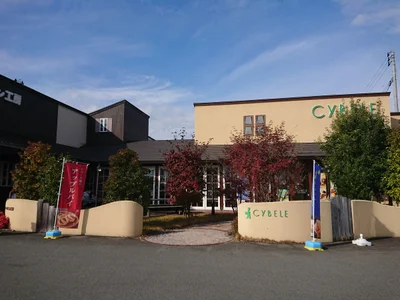 Sagae - Photo 3