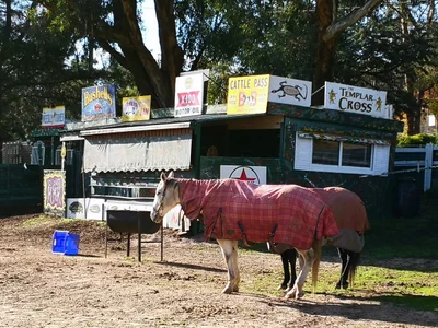 Strath Creek - Photo 2