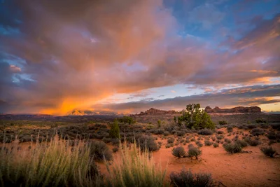 Arches National Park - Photo 3