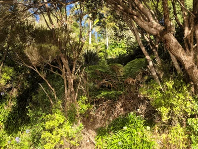 Whangaroa - Photo 2