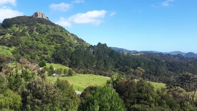 Whangaroa - Photo 4