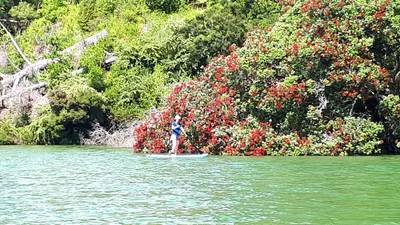 Whangaroa - Photo 5