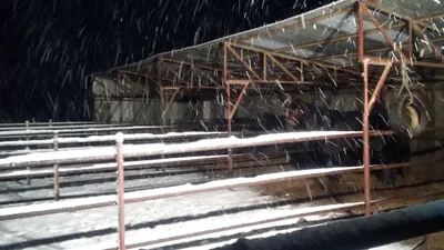 Blayney - Photo 3