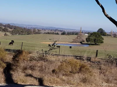 Blayney - Photo 4