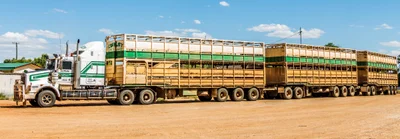 Boulia - Photo 3