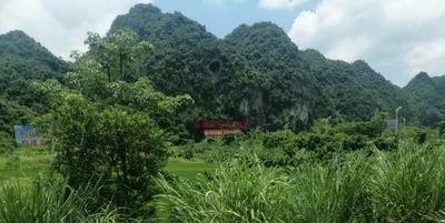 Chongzuo - Photo 4