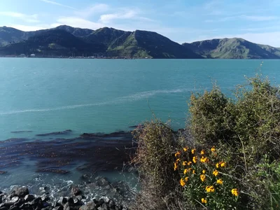 Diamond Harbour - Photo 2