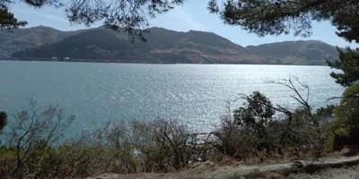 Diamond Harbour - Photo 4