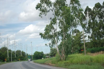 Thep Sathit - Photo 5