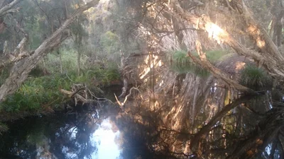 Gingin - Photo 3