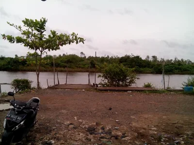 Kuala Kapuas - Photo 3